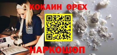 ПСИЛОЦИБИНОВЫЕ ГРИБЫ Новозыбков