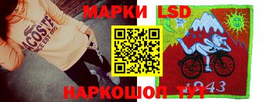ПСИЛОЦИБИНОВЫЕ ГРИБЫ Новозыбков