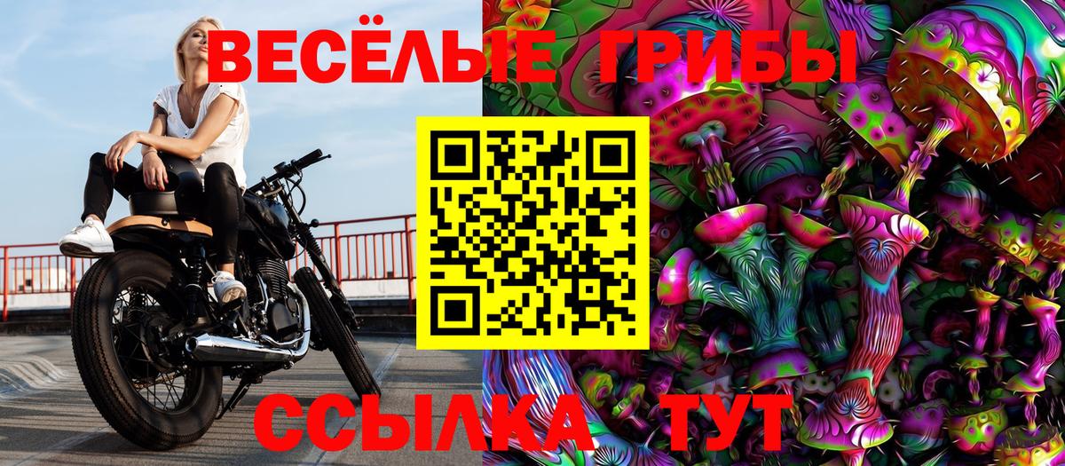 Псилоцибиновые грибы мухоморы Славгород