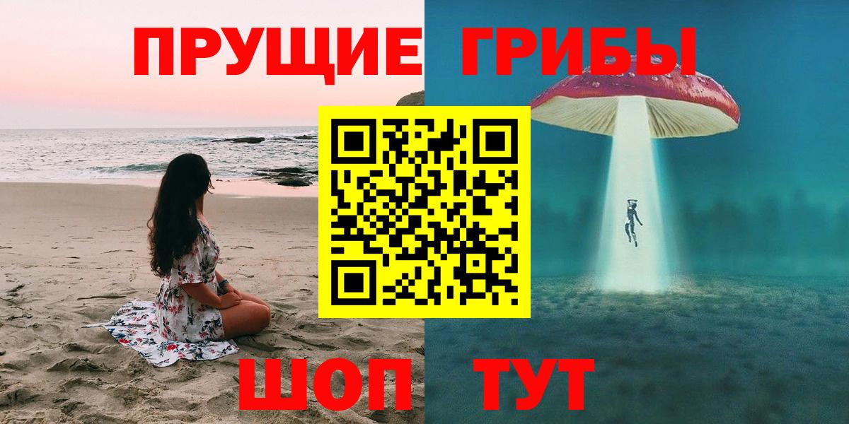 Славгород  даркнет сайт  Вход с VPN  Псилоцибиновые грибы ЛСД 